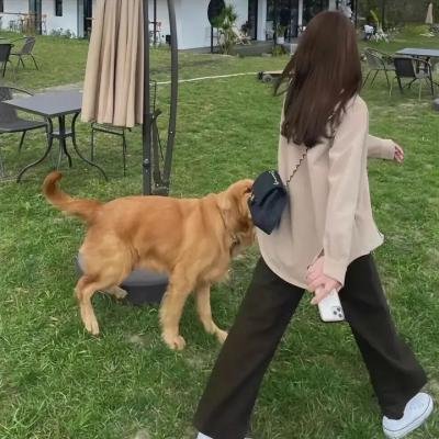 土耳其式激情